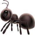 Ant Emoji Apple