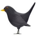 Black Bird Emoji Apple
