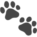 Paw Prints Emoji Apple