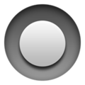 Radio Button Emoji Apple