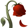 Wilted Flower Emoji Apple