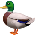 Duck Emoji Apple