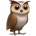 Owl Emoji Apple