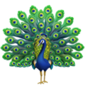 Peacock Emoji Apple
