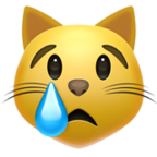 Crying Cat Emoji Apple