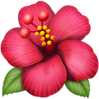 Hibiscus Emoji Apple