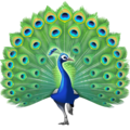 Peacock Emoji Facebook