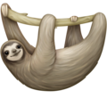 Sloth Emoji Facebook