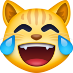 Cat With Tears Of Joy Emoji Facebook