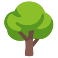 Deciduous Tree Emoji Google