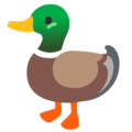 Duck Emoji Google