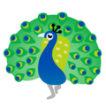 Peacock Emoji Google