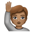 Person Raising Hand Emoji Huawei