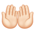 Palms Up Together Emoji Huawei