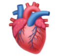 Anatomical Heart Emoji Huawei