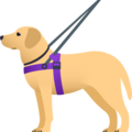 Guide Dog Emoji Joypixels
