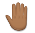 Raised Back Of Hand Emoji Lg