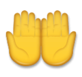 Palms Up Together Emoji Lg