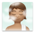 Person In Steamy Room Emoji Lg