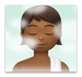 Person In Steamy Room Emoji Lg