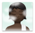 Person In Steamy Room Emoji Lg