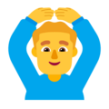 Man Gesturing Ok Emoji Windows