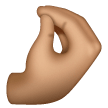 Pinched Fingers Emoji Samsung
