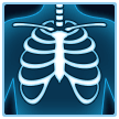 X Ray Emoji Samsung