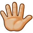 Hand With Fingers Splayed Emoji Samsung