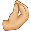 Pinched Fingers Emoji Samsung