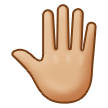 Raised Back Of Hand Emoji Samsung