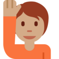 Person Raising Hand Emoji Twitter