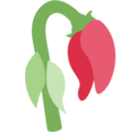 Wilted Flower Emoji Twitter