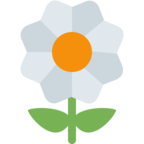 Blossom Emoji Twitter