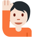 Person Raising Hand Emoji Twitter