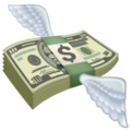 Money With Wings Emoji Whatsapp