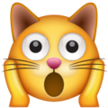 Weary Cat Emoji Whatsapp
