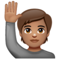 Person Raising Hand Emoji Whatsapp