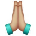 Folded Hands Emoji Whatsapp
