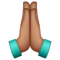 Folded Hands Emoji Whatsapp