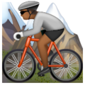 Person Mountain Biking Emoji Whatsapp
