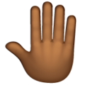 Raised Back Of Hand Emoji Whatsapp