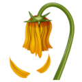 Wilted Flower Emoji Whatsapp