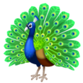 Peacock Emoji Whatsapp