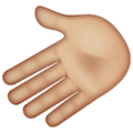 Leftwards Hand Emoji Whatsapp