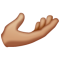 Palm Up Hand Emoji Whatsapp