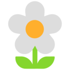 Blossom Emoji Windows