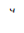 Cyrillic Payerok