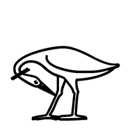 Egyptian Hieroglyph-#13C48