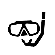 Diving Mask